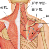 【慢性的な頭痛】でお悩みの方必見！！その原因って姿勢が悪いから？